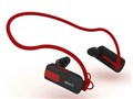 AMP-614WP(R) [4GB]