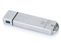 IronKey Workspace W500 IRONKEY-WS-W500-64G [64GB]