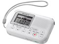 ICD-LX31