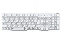 SKB-L1 [�z���C�g]