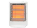 DS-K101
