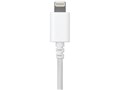 BSIPBDC01WH [�z���C�g]