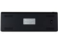 BLACK PAWN CK-67CMB-RDJP1 �Ԏ� [����]
