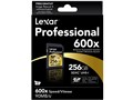 LSD256CTBJP600 [256GB]