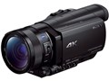 FDR-AX100