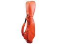 PHYZ CBPH41 [�I�����W]