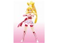 S.H.Figuarts �h�L�h�L�I�v���L���A �L���A�n�[�g