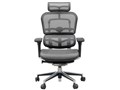 Ergohuman Basic EH-HAM KM10 [�O���[]