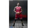 ���A���}�X�^�[�s�[�X �R���N�e�B�u���t�B�M���A 1/6 NBA�R���N�V���� �f���b�N�E���[�Y