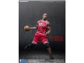 ���A���}�X�^�[�s�[�X �R���N�e�B�u���t�B�M���A 1/6 NBA�R���N�V���� �f���b�N�E���[�Y