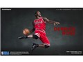 ���A���}�X�^�[�s�[�X �R���N�e�B�u���t�B�M���A 1/6 NBA�R���N�V���� �f���b�N�E���[�Y