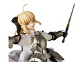 REAL ACTION HEROES Fate/stay night �Z�C�o�[�E�����B