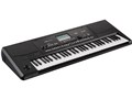 Pa300 Professional Arranger