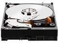 WD2503ABYZ [250GB SATA600 7200]