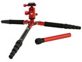 T-005RX+C10X SET [���b�h]