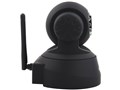 TR3818 [Black]