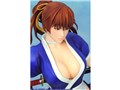 DEAD OR ALIVE 5 ������