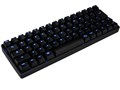 BLACK PAWN CK-67CMB-WTJP1 ���� [����]