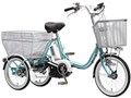 PAS ���S�� PT16 2014�N���f�� [�A�N�A�u���[] + ��p�[�d��