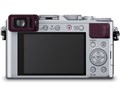 LUMIX DMC-LX100-S [�V���o�[]