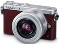 LUMIX DMC-GM1SK-T �����Y�L�b�g [�u���E��]