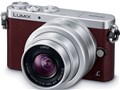 LUMIX DMC-GM1SK-T �����Y�L�b�g [�u���E��]