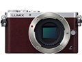 LUMIX DMC-GM1SK-T �����Y�L�b�g [�u���E��]