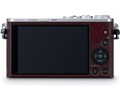 LUMIX DMC-GM1SK-T �����Y�L�b�g [�u���E��]
