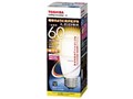 E-CORE LDT8L-G/S/60W [�d���F]