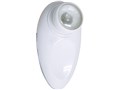 egg skin �����g�E�F�[�u