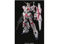 PG 1/60 ���j�R�[���K���_��