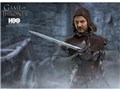Game of Thrones �Q�[���E�I�u�E�X���[���Y �G�_�[�h�E�X�^�[�N