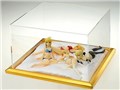 DreamTech �����W�F���[�X�^�C�� �Z�C�o�[ �X�y�V�����v���~�A���G�f�B�V����