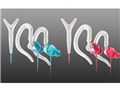 FOCUS400 FOR WOMEN [�A�N�A/�z���C�g]