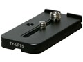 TY-LP75