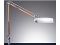 Z-LIGHT Z-973N