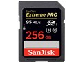 SDSDXPA-256G-G46 [256GB]