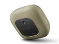 SOL PUNK CRG [Cargo]