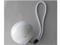 WS-BL1 [�z���C�g]