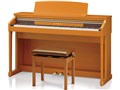 Concert Artist CA17C [�v���~�A���`�F���[��]