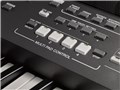 PORTATONE PSR-S670