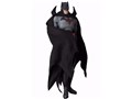 REAL ACTION HEROES FLASHPOINT�FBATMAN KNIGHT OF VENGEANCE �o�b�g�}��(FLASHPOINT Ver.)