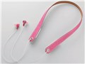 LBT-NS10PN [�s���N]
