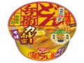 �ǂ񕺉q �J���[��؂��� 87g ×12�H
