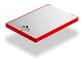 SC300 HFS256G32MND-3312A