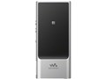 NW-ZX100 [128GB]