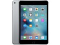 iPad mini 4 Wi-Fi���f�� 16GB MK6J2J/A [�X�y�[�X�O���C]