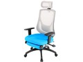Mesh BH-84-AQ Isu-Nap [�u���[]