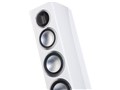 Gold 200 [White Gloss �y�A]