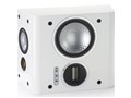 Gold FX [White Gloss �P�i]